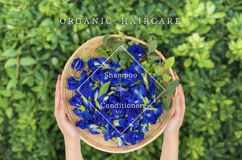 ORGANIC HAIRCARE shampoo conditioner